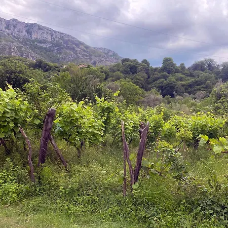 Brama Πανσιόν