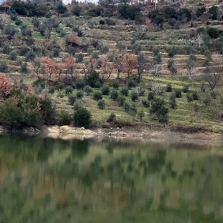 Πανσιόν Brama
